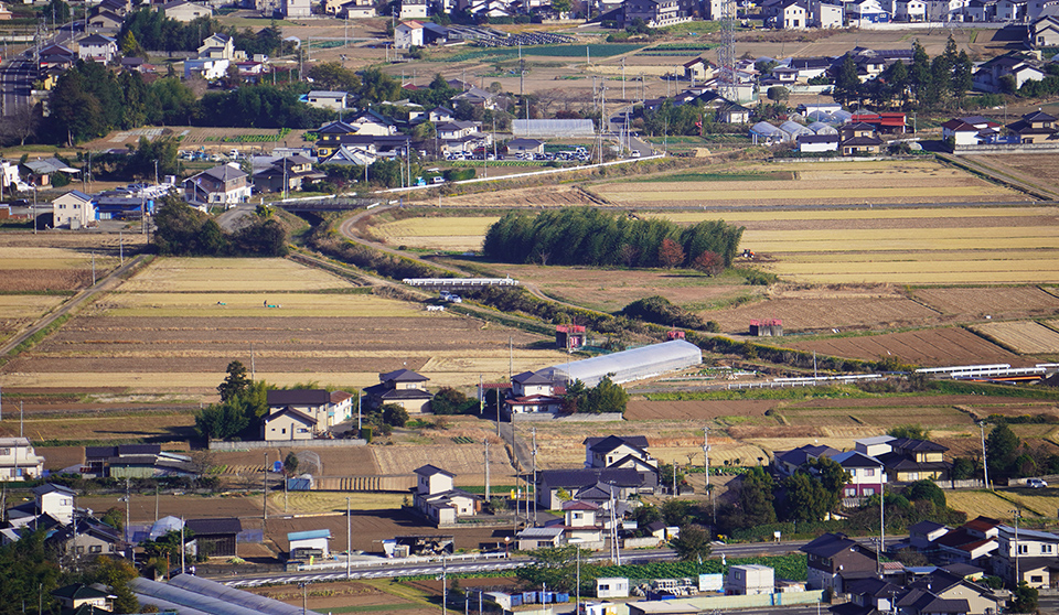 その他のご依頼